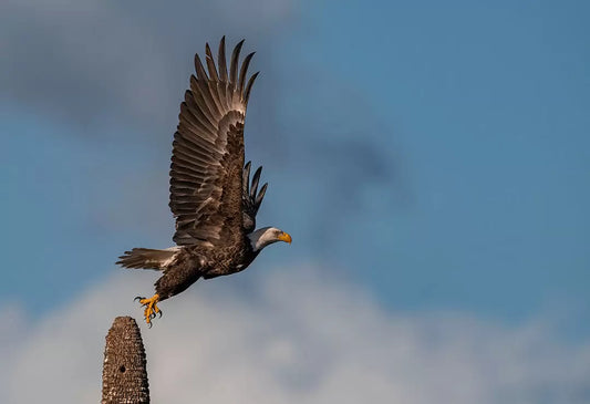 Does sensor size matter for landscape photography?
