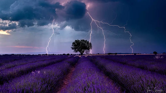 NFTs — The New Way to Sell Landscape Photos