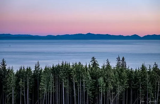 3 Tests for buying high-quality used lenses