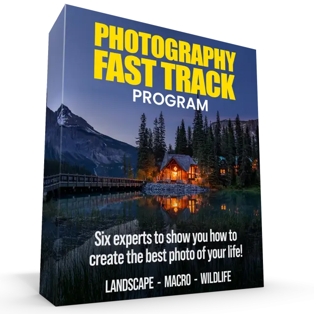 Fast Track Program